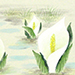 Koyo Suzuki Gallery